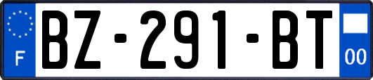 BZ-291-BT