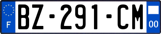 BZ-291-CM