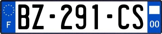 BZ-291-CS