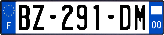 BZ-291-DM