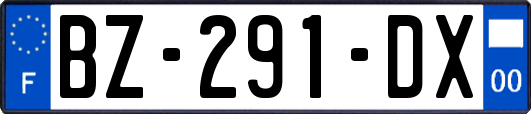 BZ-291-DX