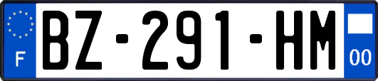 BZ-291-HM