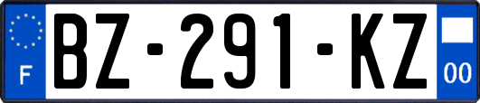 BZ-291-KZ