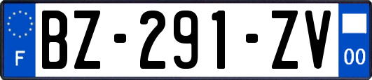 BZ-291-ZV