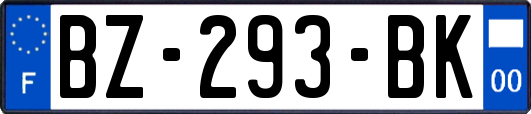 BZ-293-BK