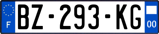 BZ-293-KG