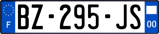 BZ-295-JS