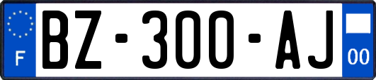 BZ-300-AJ