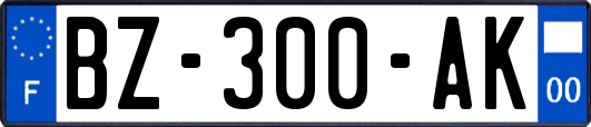 BZ-300-AK