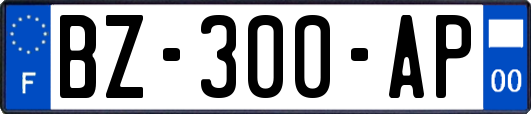 BZ-300-AP