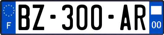 BZ-300-AR