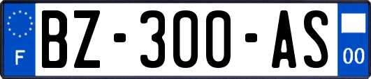 BZ-300-AS