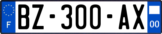 BZ-300-AX