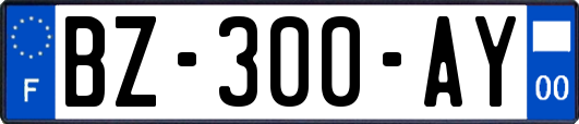 BZ-300-AY