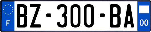 BZ-300-BA