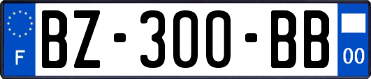 BZ-300-BB