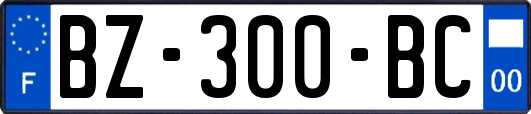 BZ-300-BC