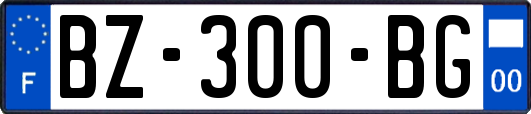 BZ-300-BG