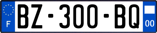 BZ-300-BQ