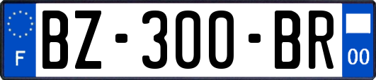 BZ-300-BR