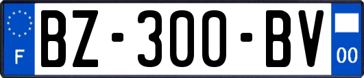 BZ-300-BV