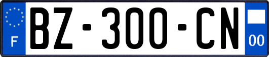 BZ-300-CN