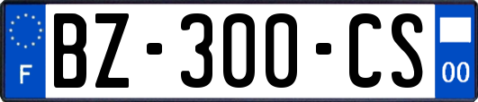 BZ-300-CS