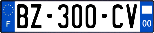 BZ-300-CV