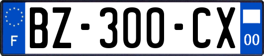 BZ-300-CX