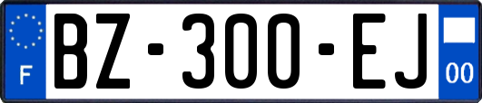 BZ-300-EJ