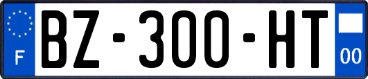 BZ-300-HT