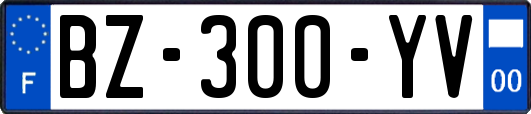 BZ-300-YV