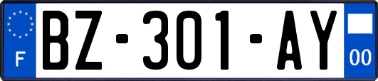 BZ-301-AY