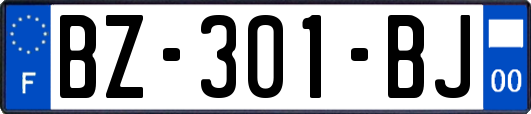 BZ-301-BJ