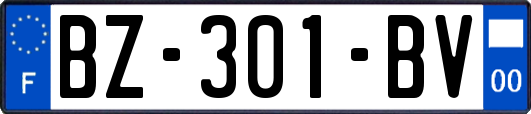 BZ-301-BV