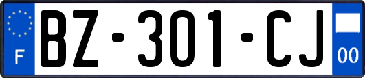 BZ-301-CJ