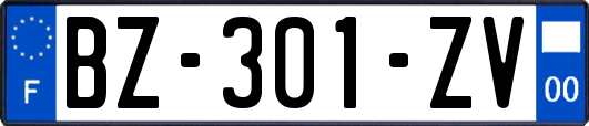 BZ-301-ZV