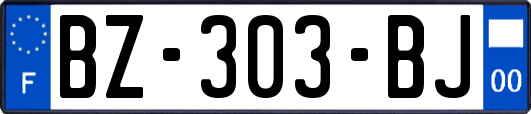 BZ-303-BJ