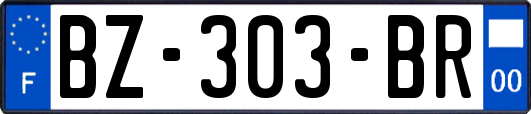 BZ-303-BR