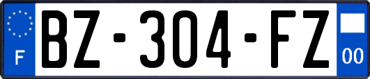 BZ-304-FZ