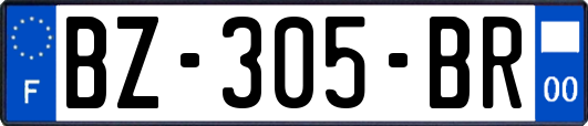 BZ-305-BR