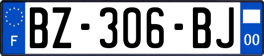 BZ-306-BJ