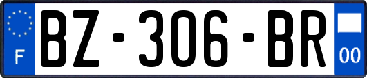 BZ-306-BR