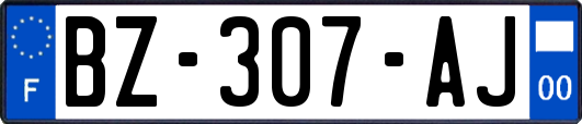 BZ-307-AJ