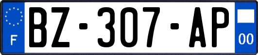 BZ-307-AP