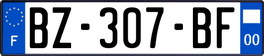 BZ-307-BF