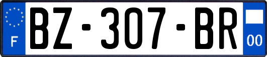 BZ-307-BR