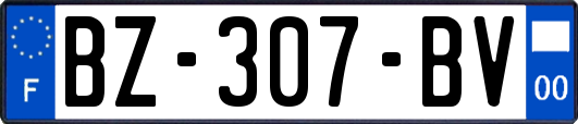 BZ-307-BV