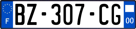 BZ-307-CG