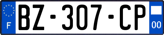 BZ-307-CP